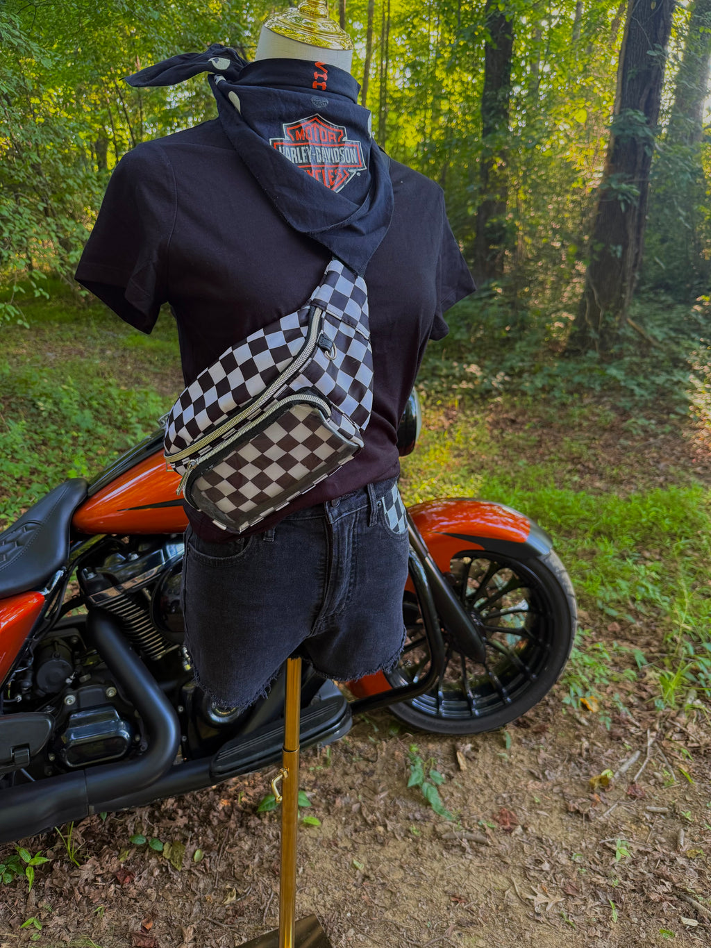 Checkered Cross Body Bag